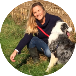 Lucie Ashpole - Happy Doggy Daycare - Worton, Devizes