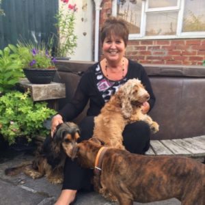 doggy daycare, dog walking, home boarding in Trowbridge