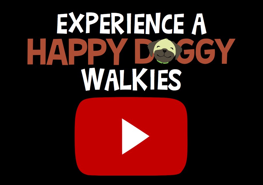 dog walking with happy doggy daycare wiltshire